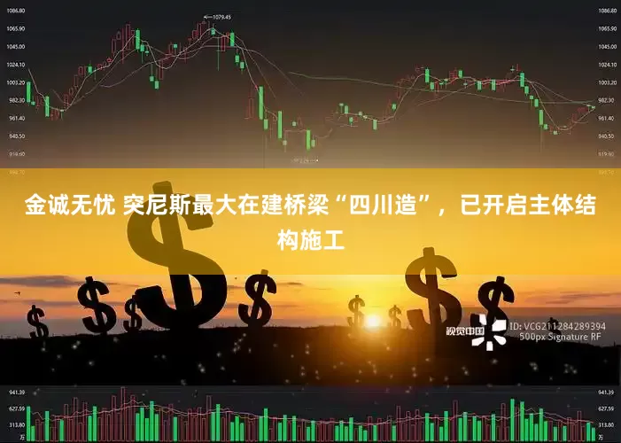 金诚无忧 突尼斯最大在建桥梁“四川造”，已开启主体结构施工