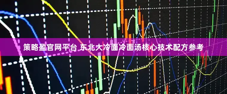 策略盈官网平台 东北大冷面冷面汤核心技术配方参考